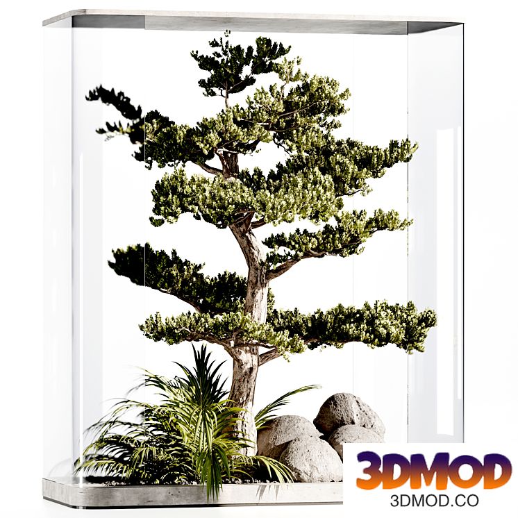 plants behind glass-patioset02