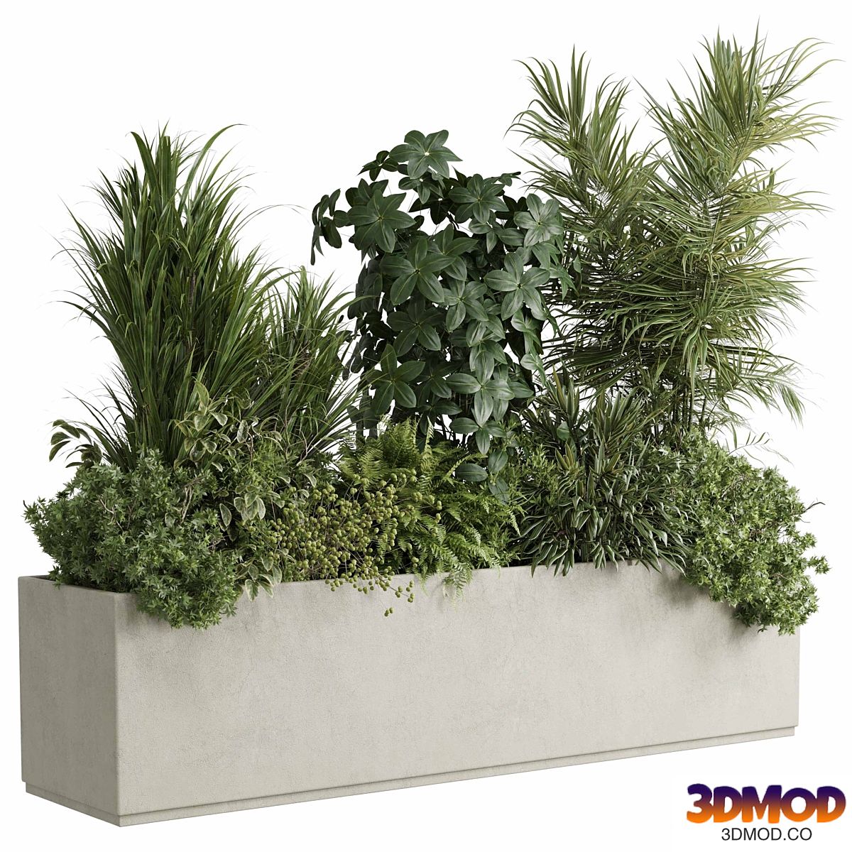concrete box plants on stand - set indoor plant 445