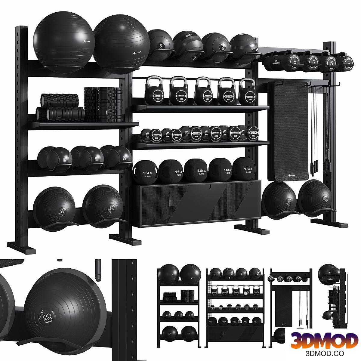ESP GYM Equipment Rack