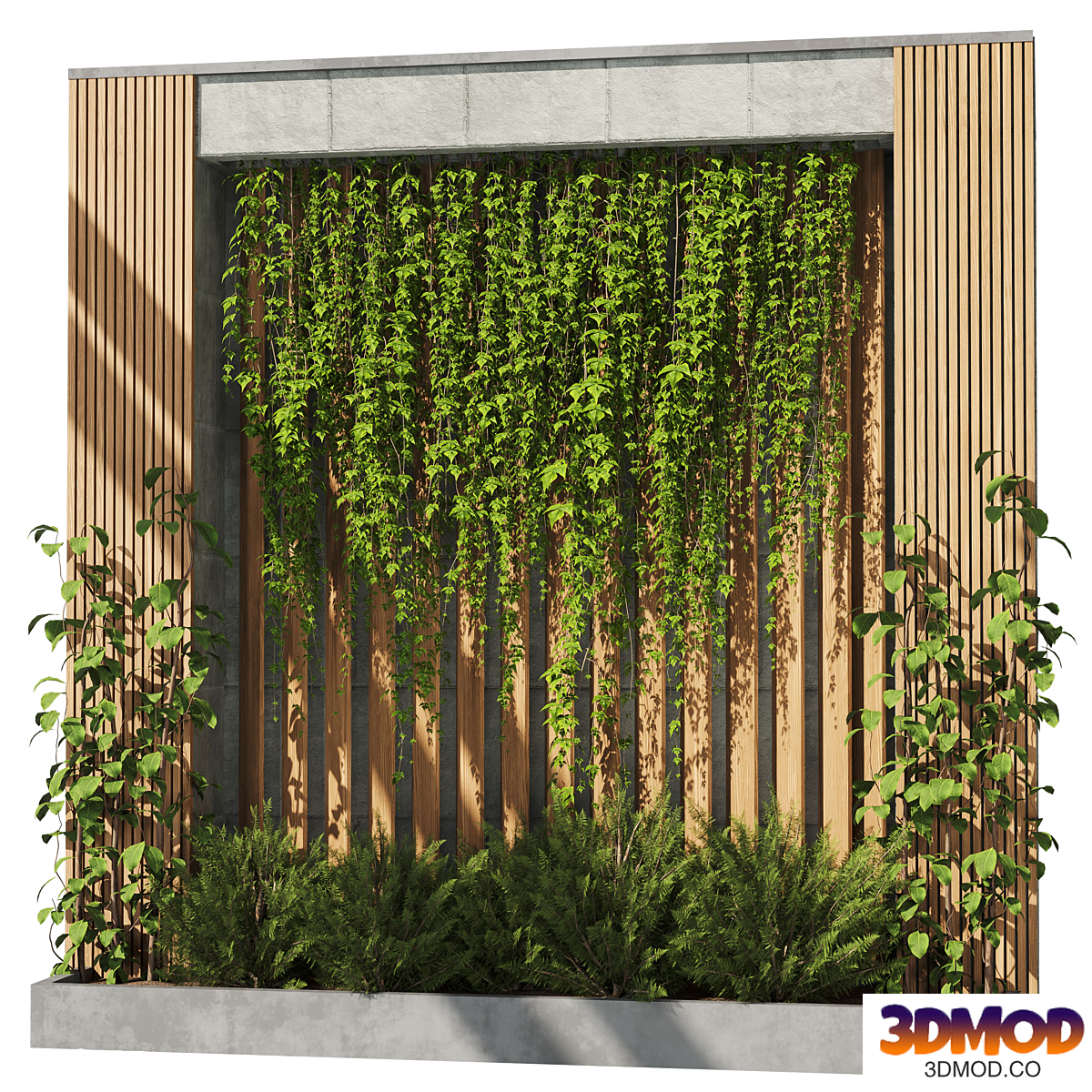 Ivy plants and bush plants set10