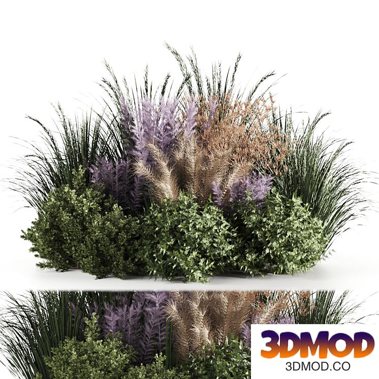 Bush set 06