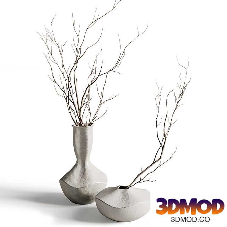 Vases by Katayone AdeliI with branches