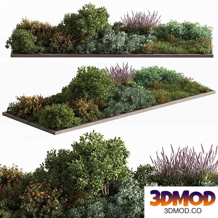 Garden Plants - Outdoor Flowers 637