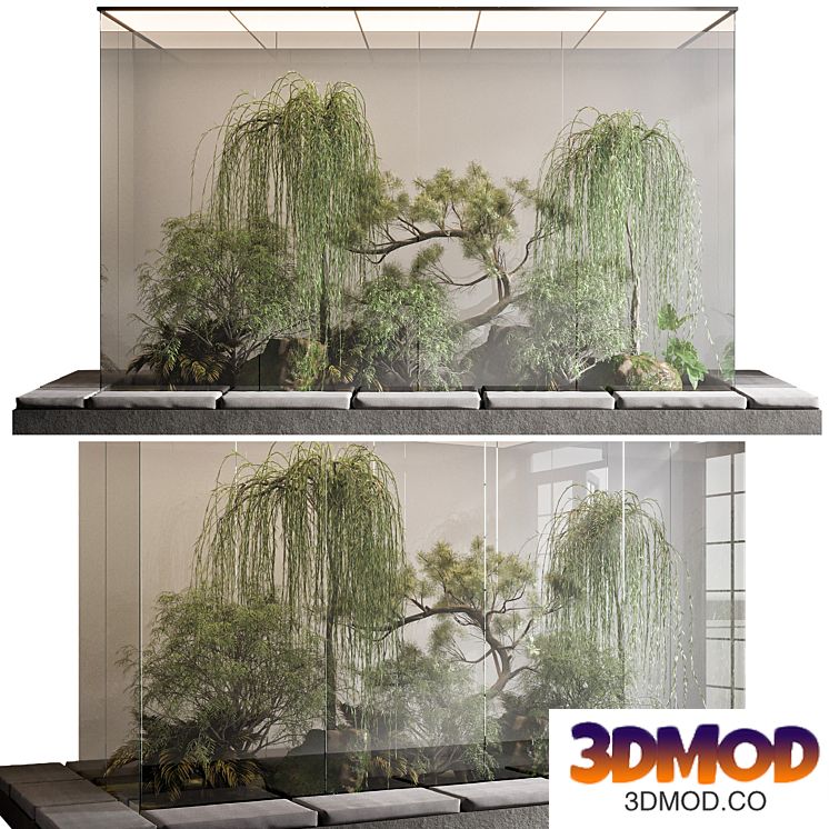 PLANTS BEHIND GLASS NO.1
