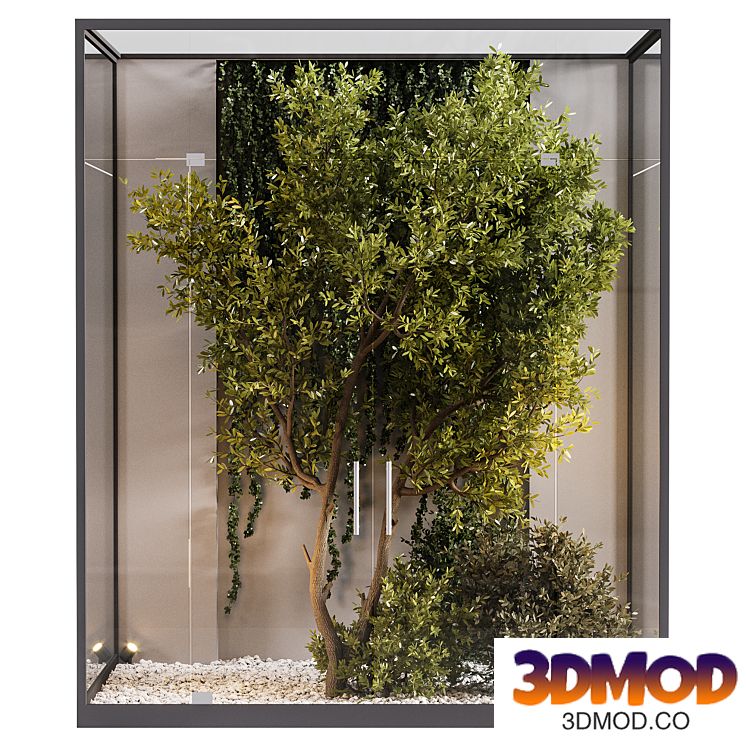 Indoor plants in glass box