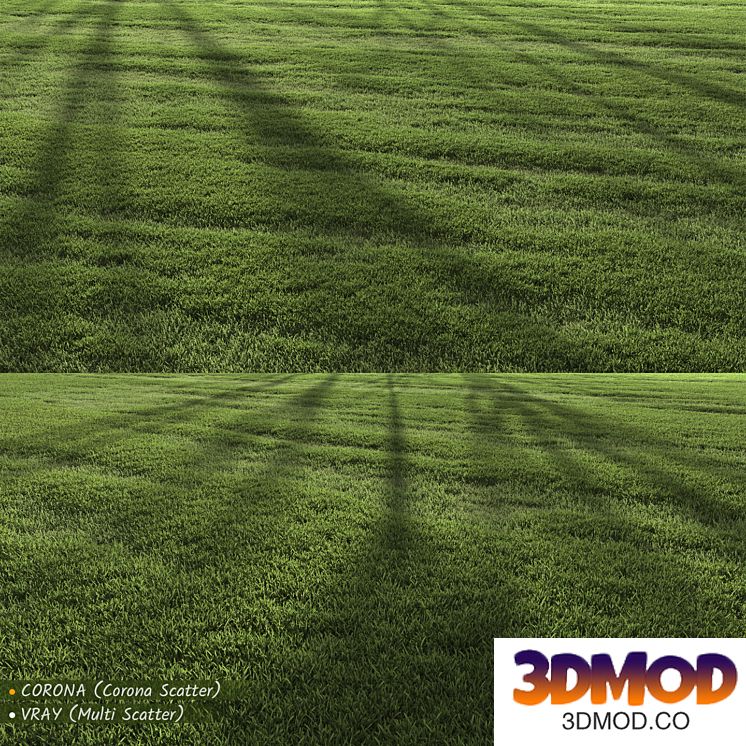 Garden Lawn 3