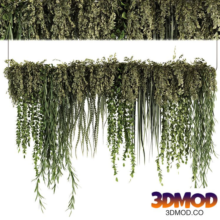 Indoorplants- Hanging Plants Set50