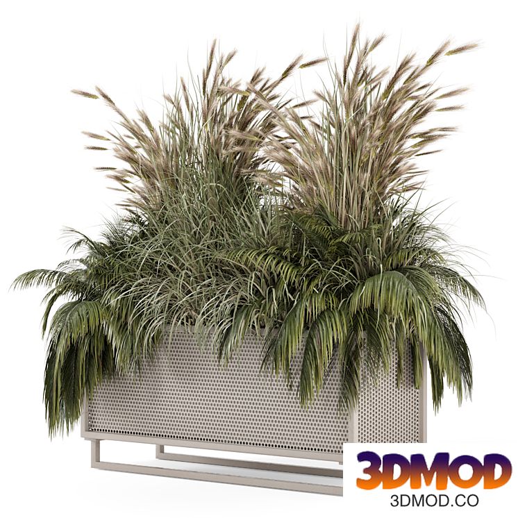 Outdoor Dry Plants in Metal Pots - Set 2396