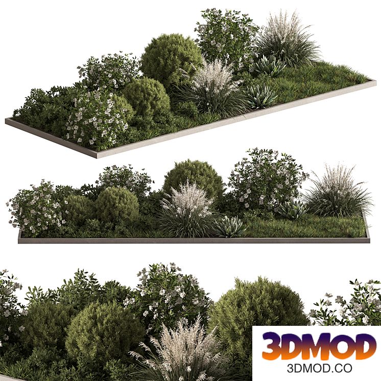 Garden Plants - Outdoor Flowers 654