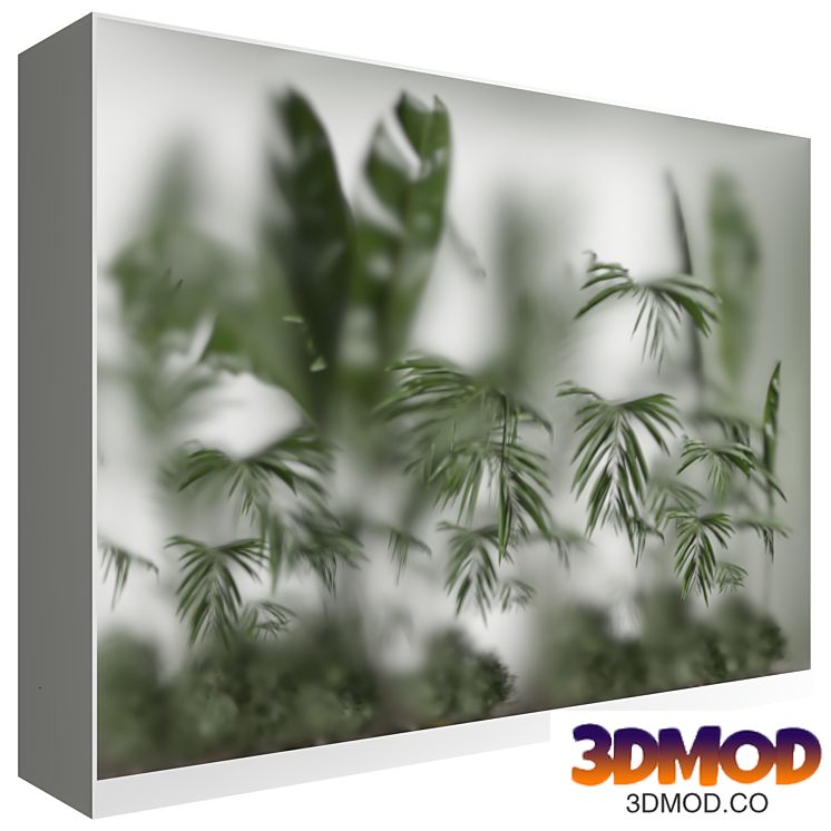 indoor Plant 630