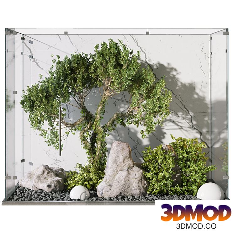 courtyard garden Shrubs and trees behind the glass 329