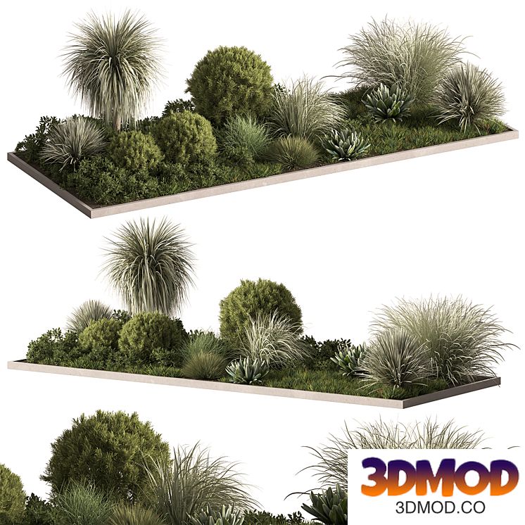 Garden Plants - Outdoor Bushes 686