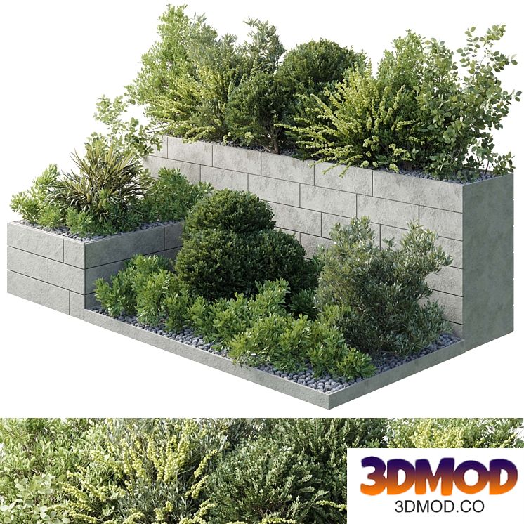 Garden Plants Box - Outdoor Plants 211
