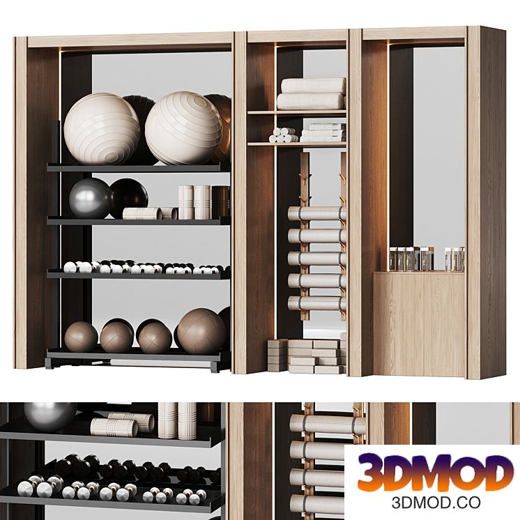 A wall with a rack for gym equipment