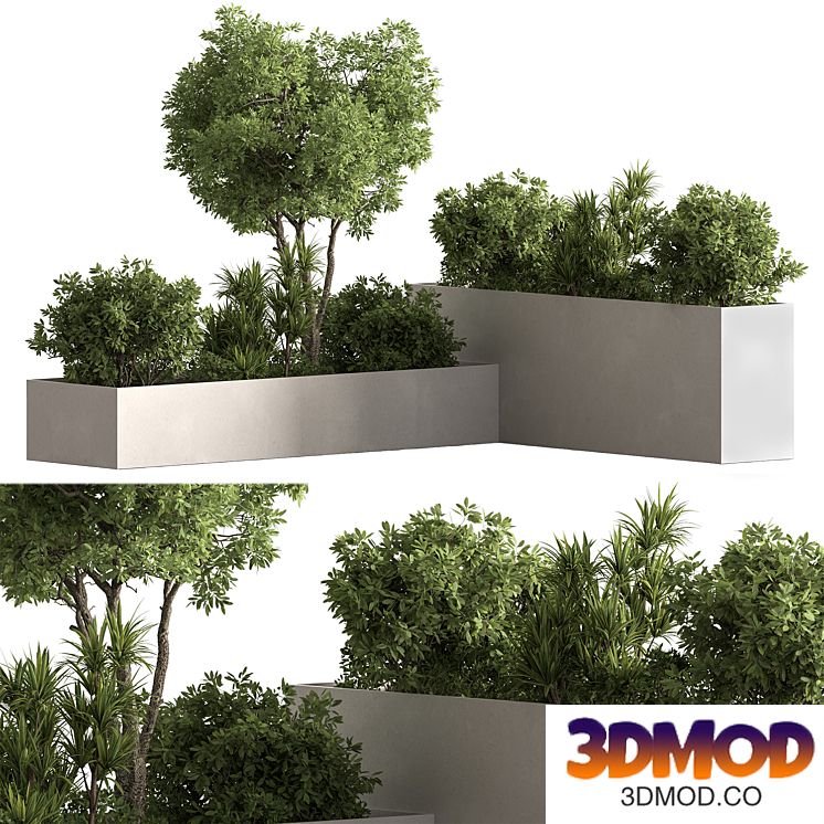 Plant Box - Outdoor Plants 632