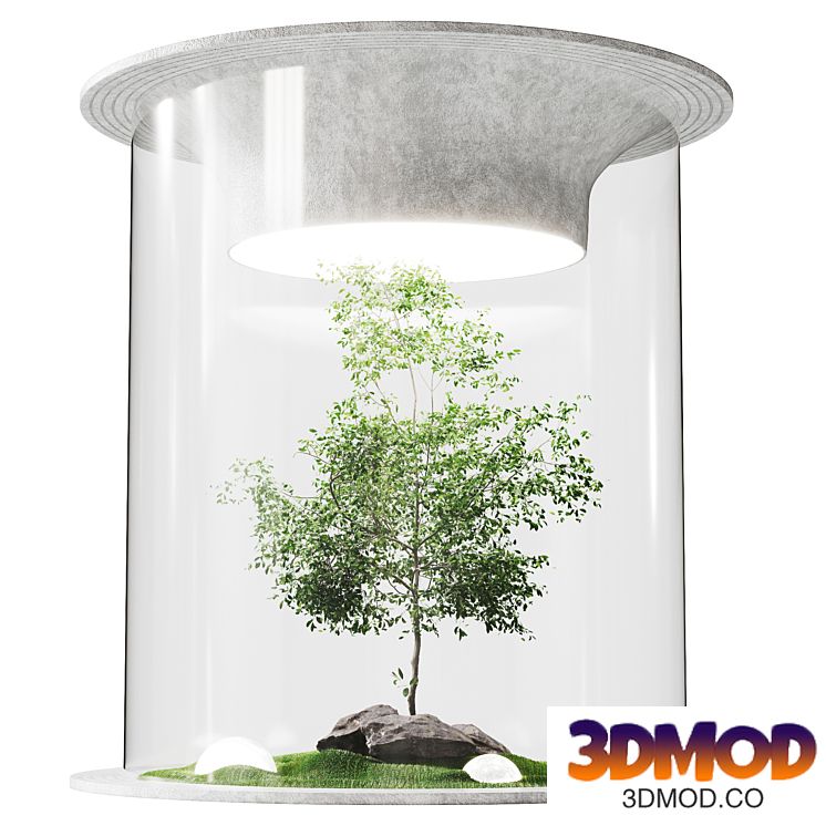 Tree in glass cover