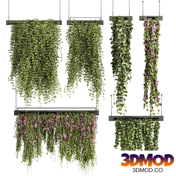 Plants Set 149