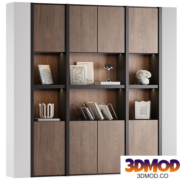 Bookcase 04