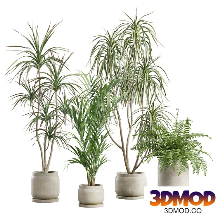 Indoor Plants Pack 90