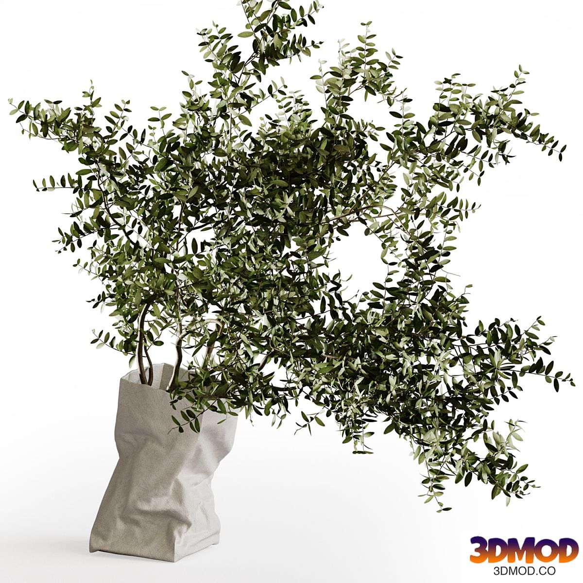 Paper Bag vase by Serax with branches