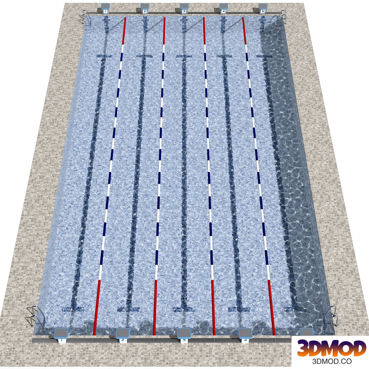 Swimming pool with lanes
