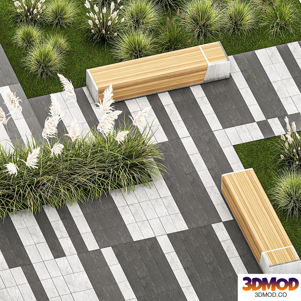Plants for the urban environment with paving slabs, bench, bench, pampas grass bushes, Cortaderia. 1151.