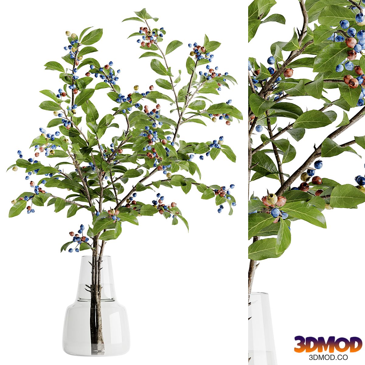 blueberry bouquet inserted into glass vase 02