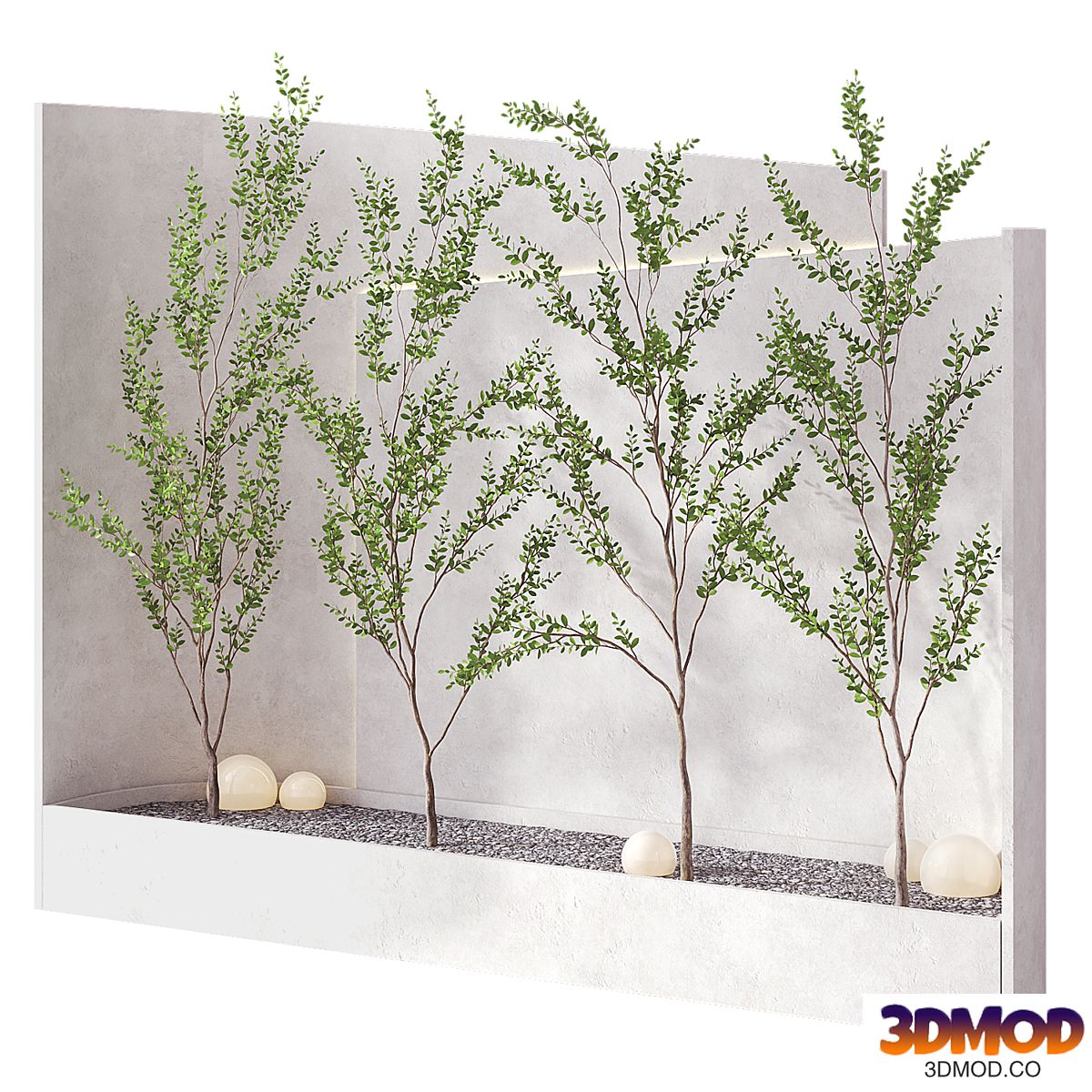 Inside Plant Set