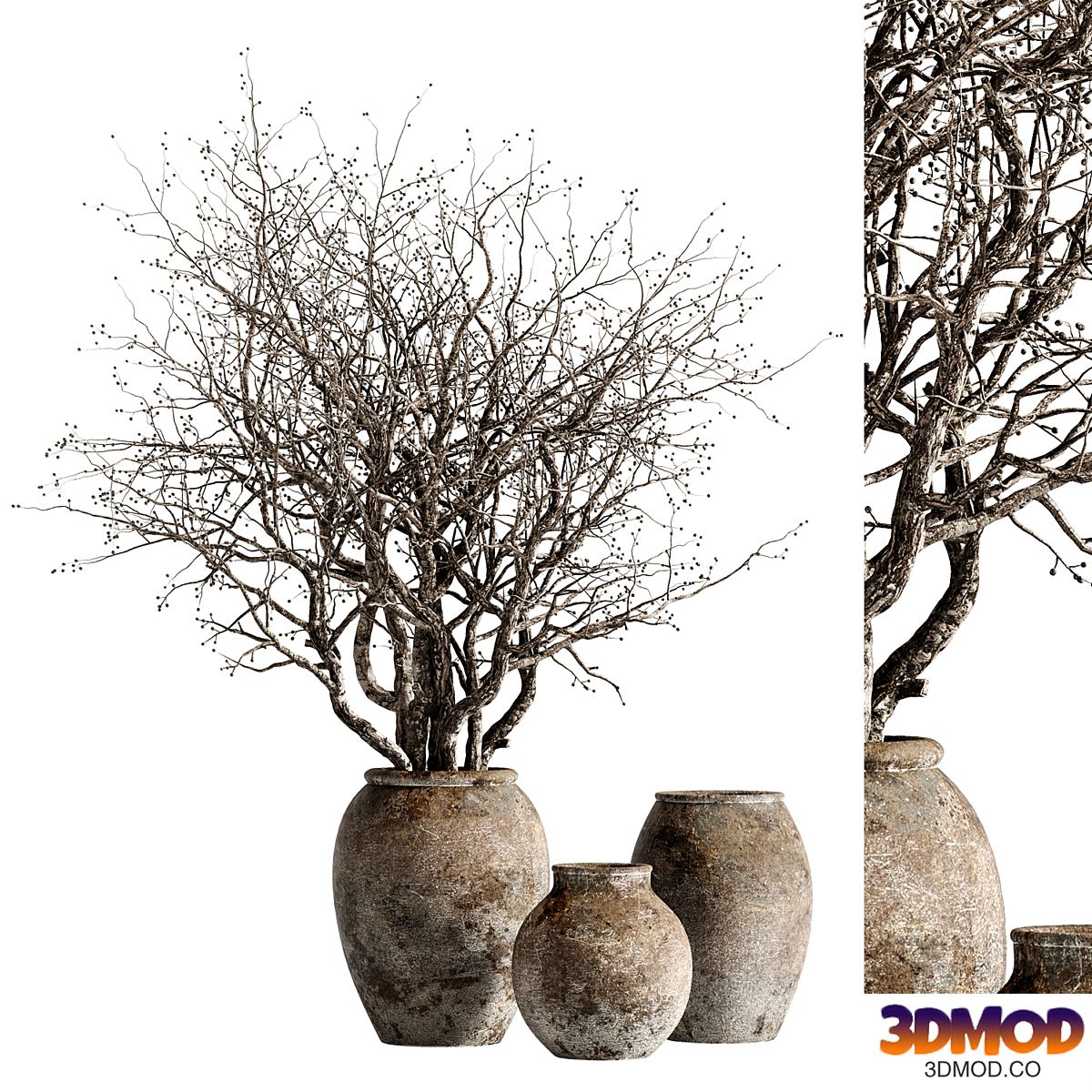 Indoor stem and branch potted plants