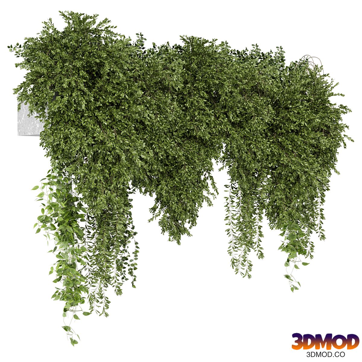 Indoor Hanging Plants in Gray Pot - Set 2210
