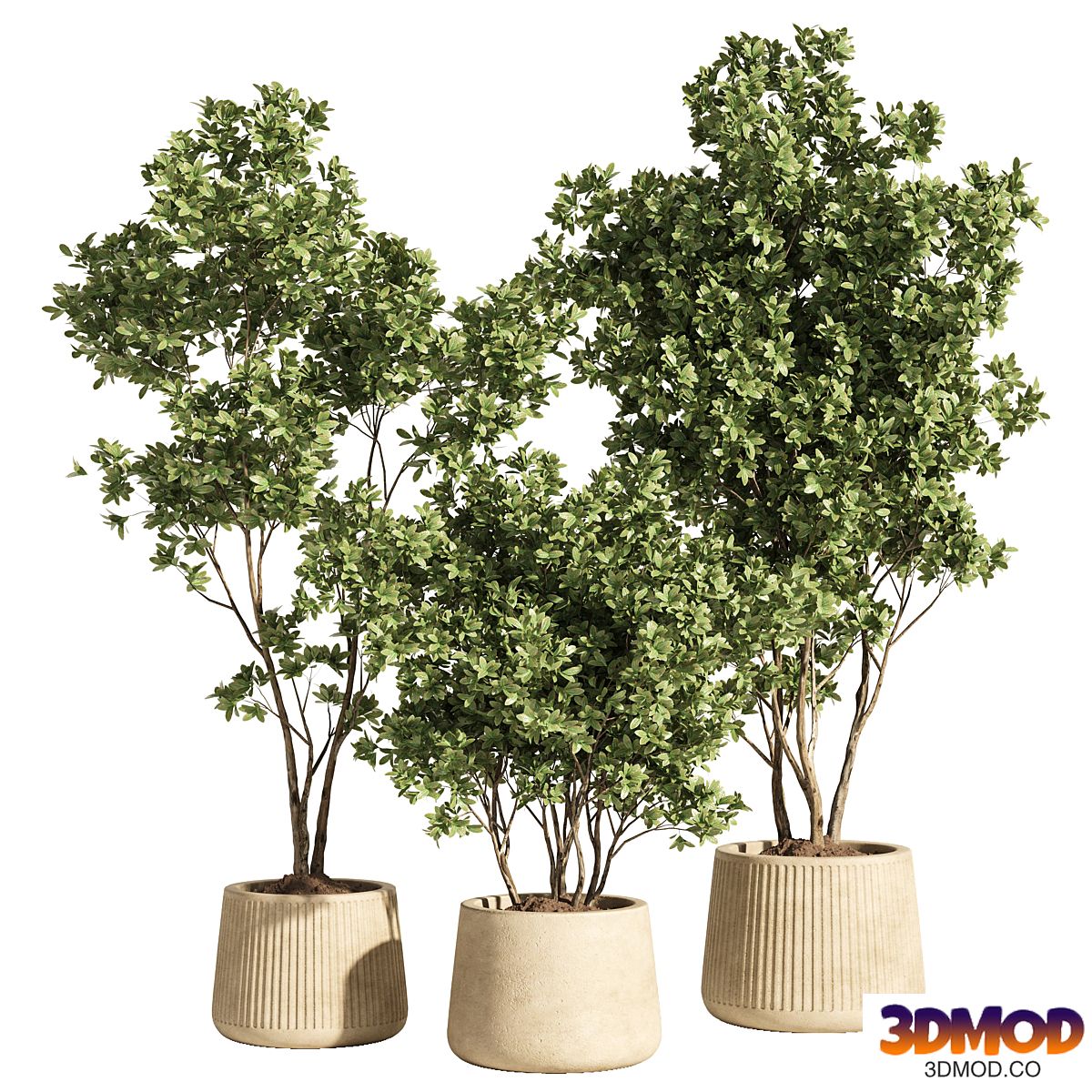 indoor plant set 84