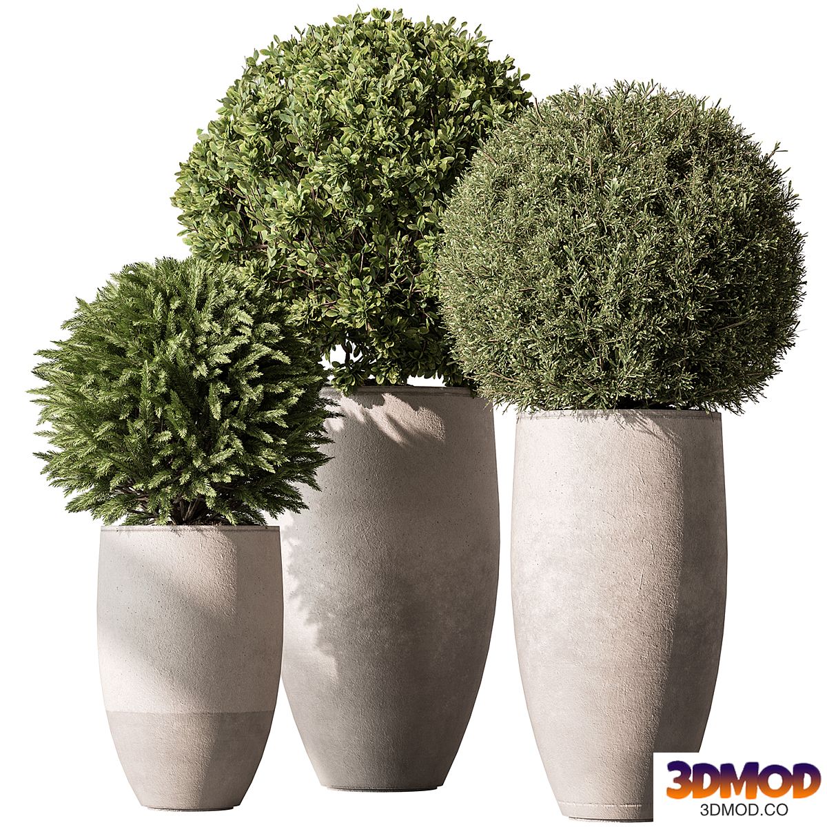 Outdoor Plants 623 - Topiary Ball