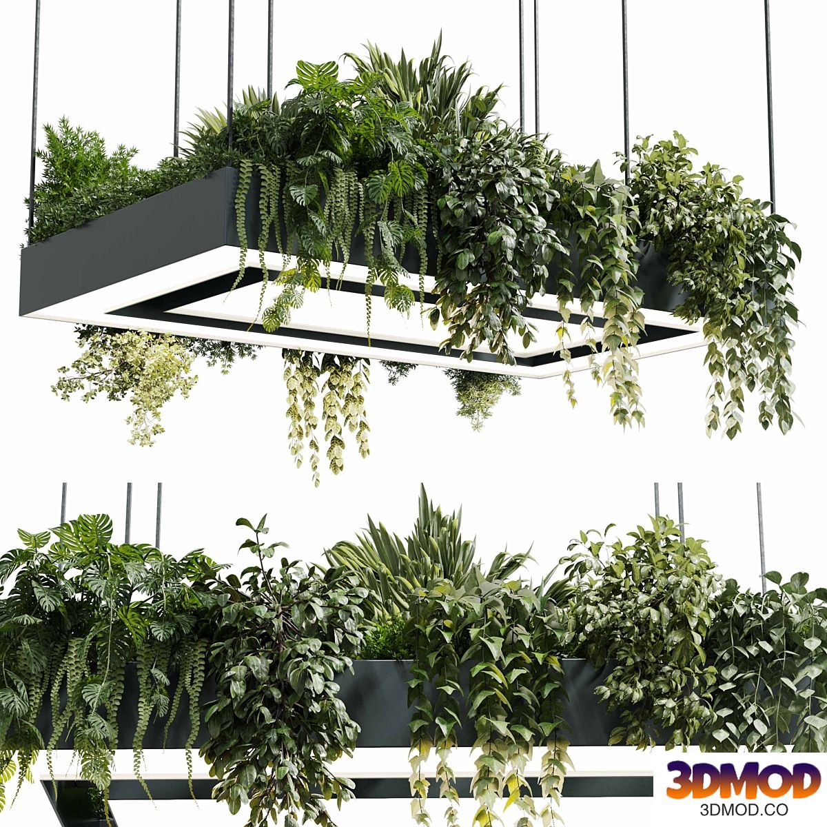 Rectangle pot light pendant - plant light hanging - indoor plant 22 corona