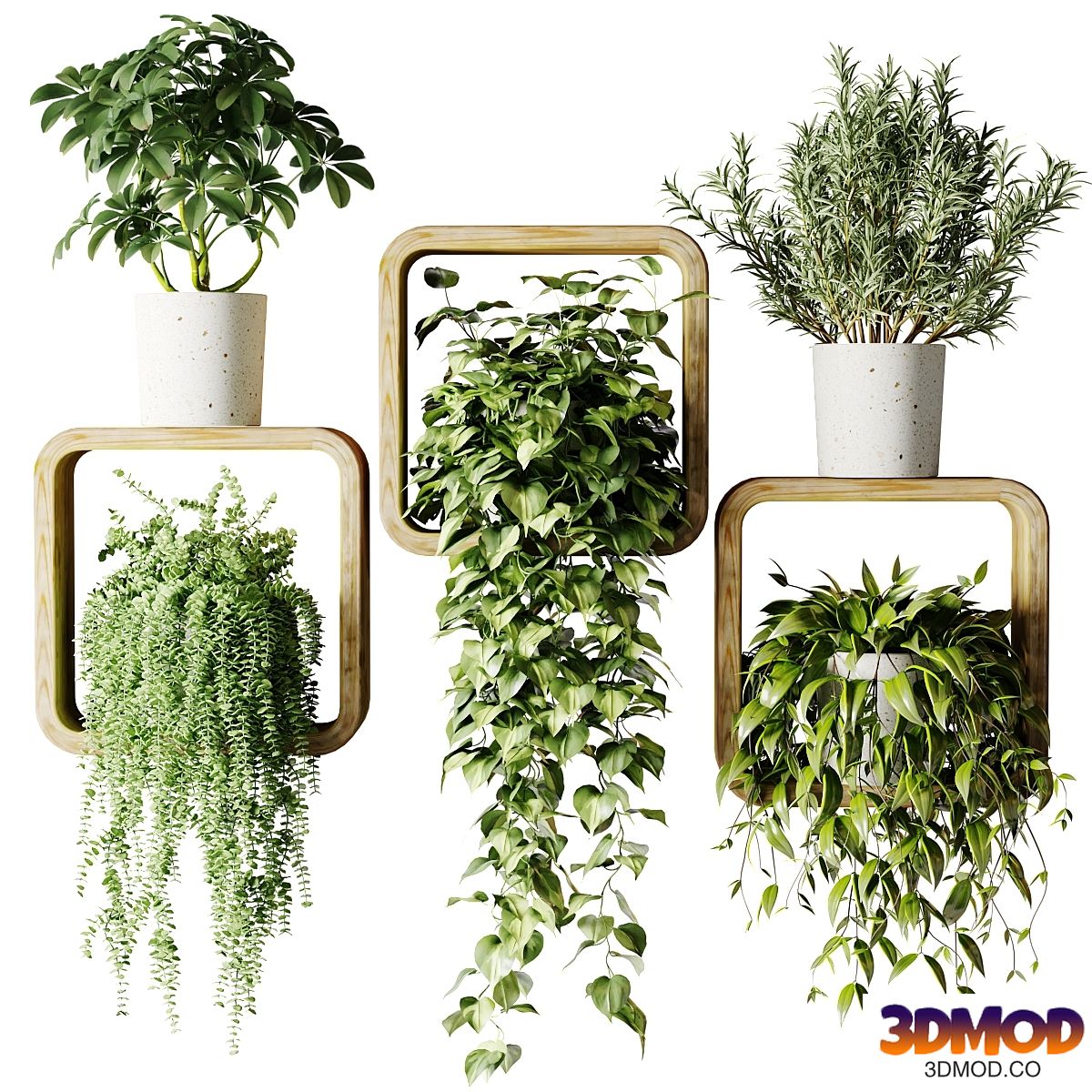 Houseplants in square pots