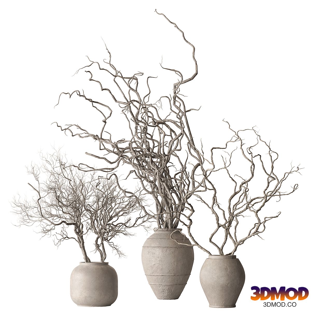 Indoor Plant 842 - Dry Branch