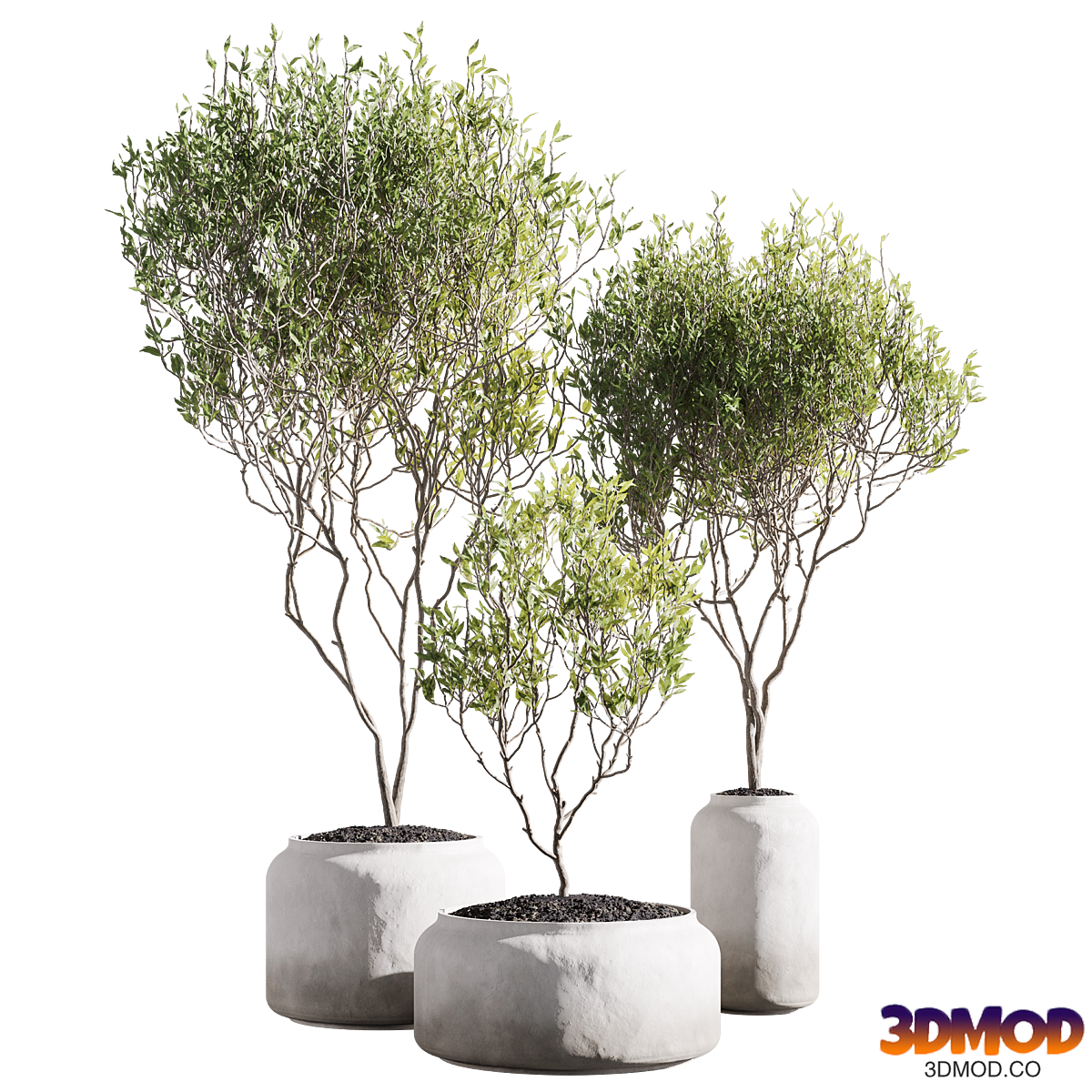 Set of indoor living plants in pots 41