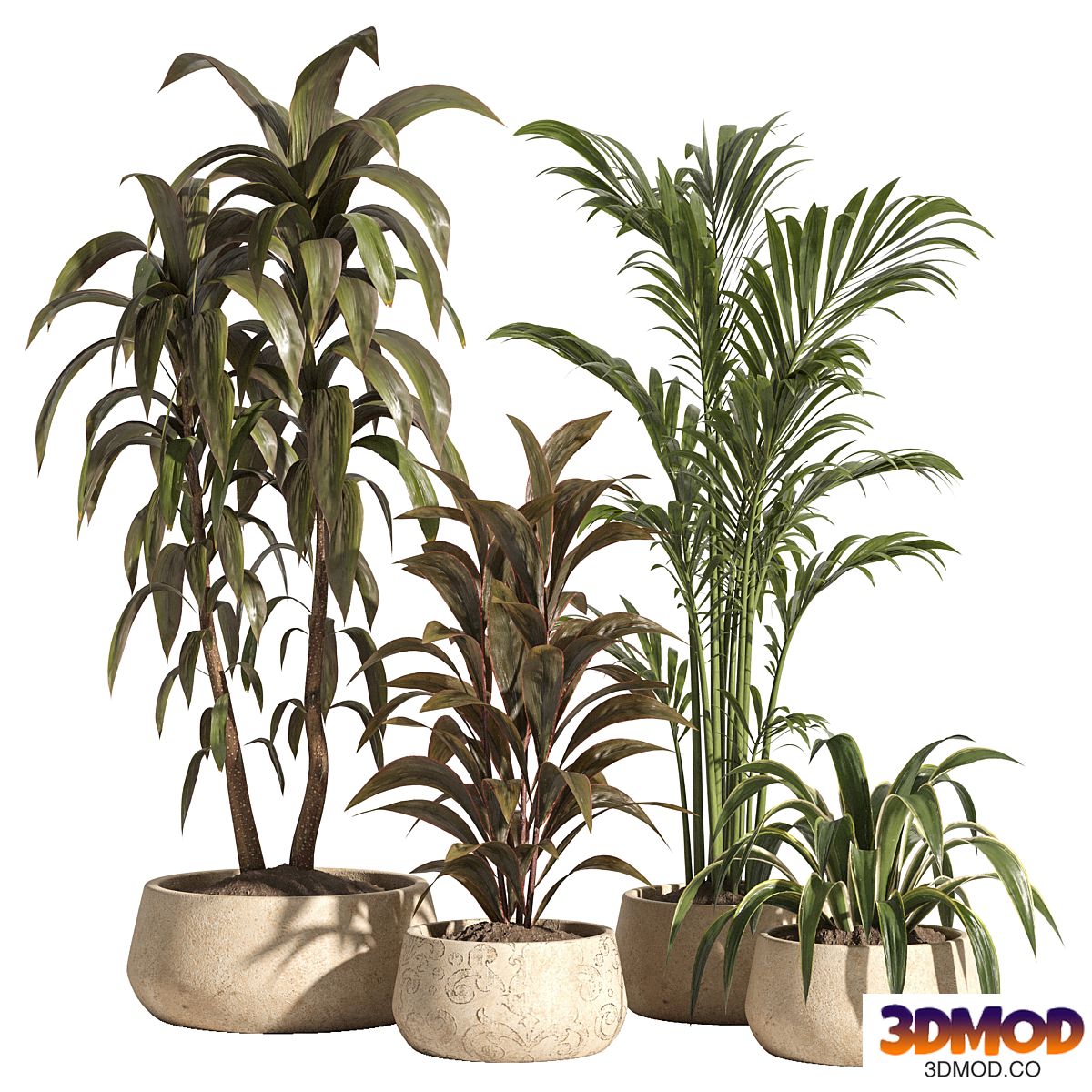 indoor plant set 89