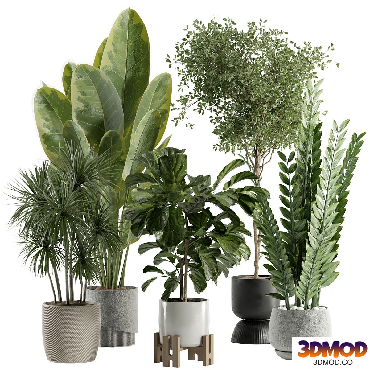 Indoor plant 528