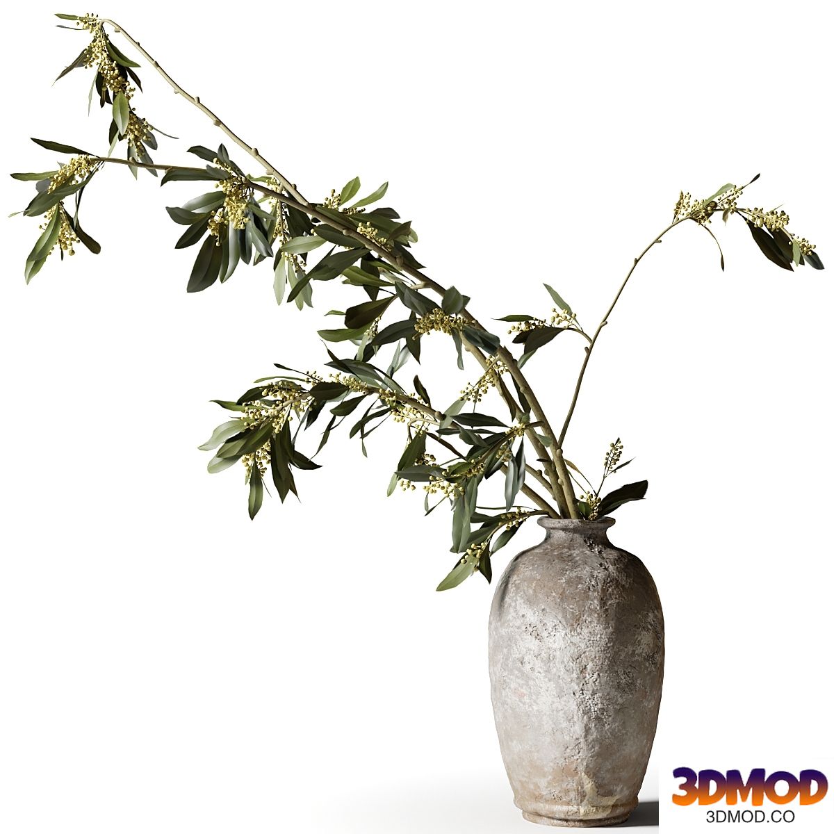 Eucalyptus in a clay vase