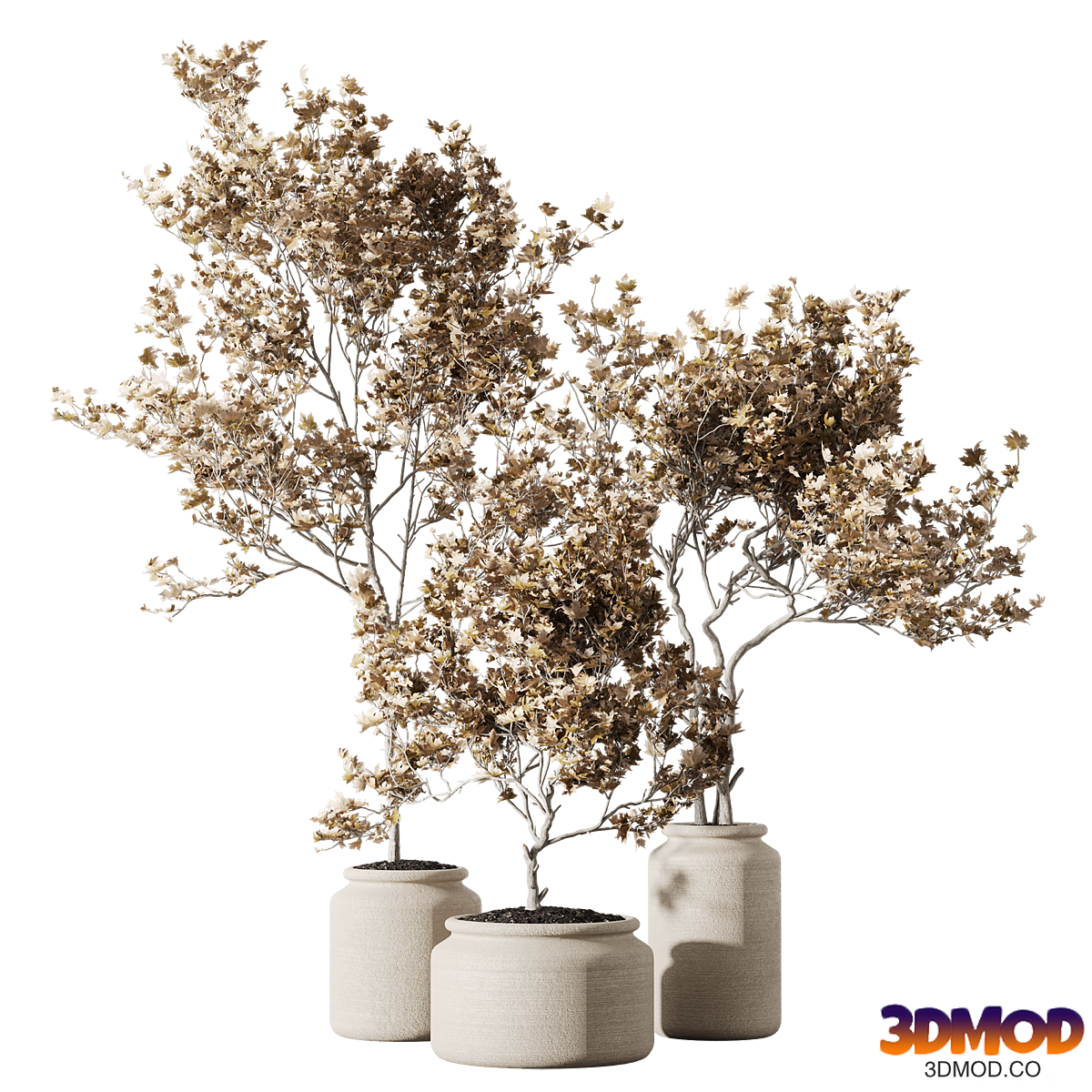 Set of indoor living plants in pots 17