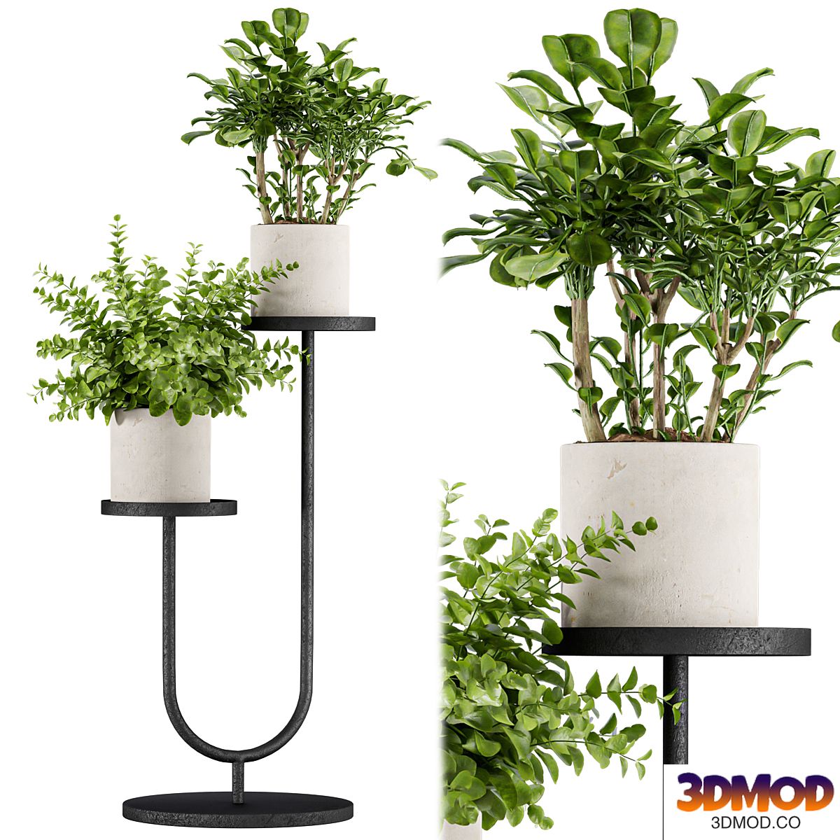 Indoor Plant Set 147