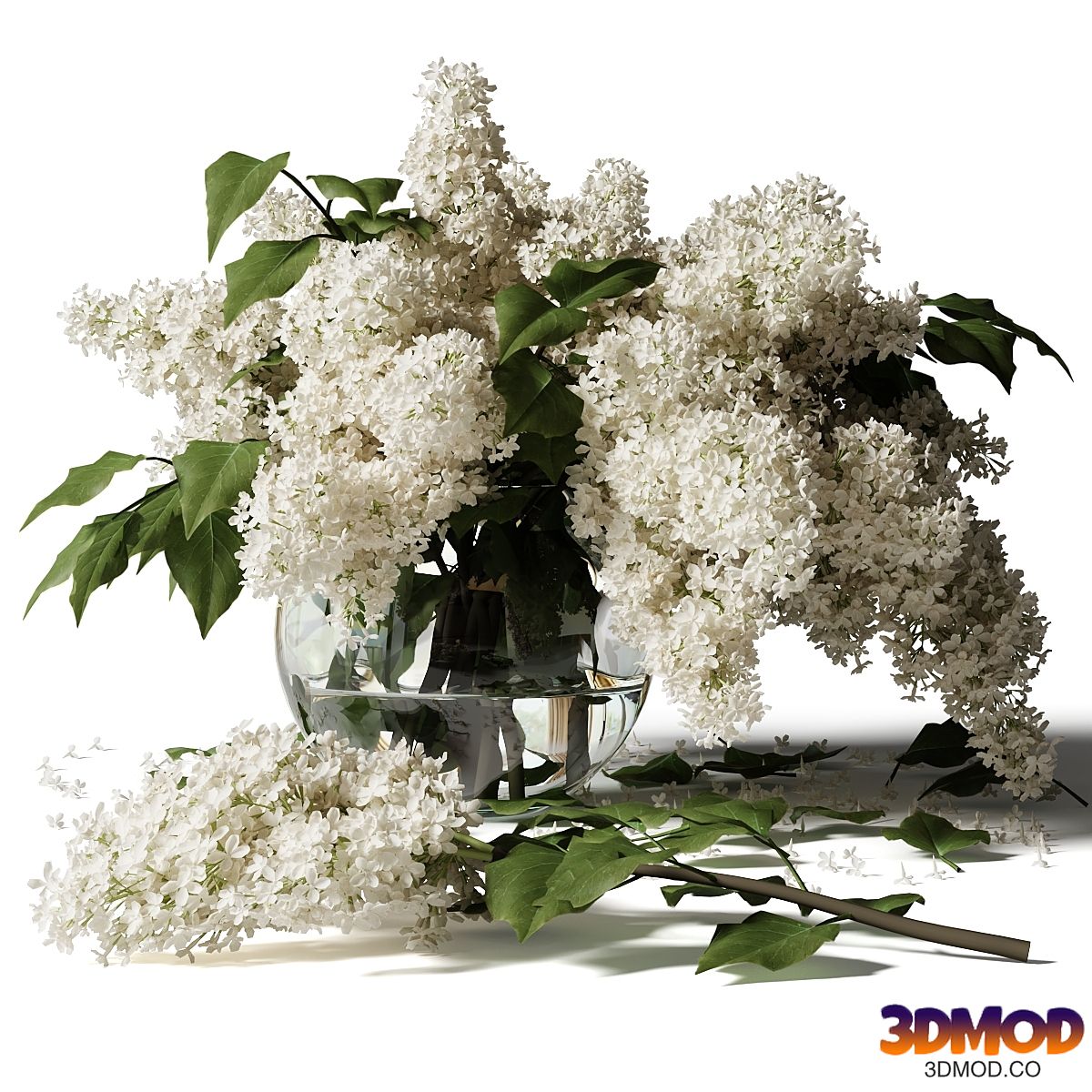 Bouquet of lilacs in a glass vase