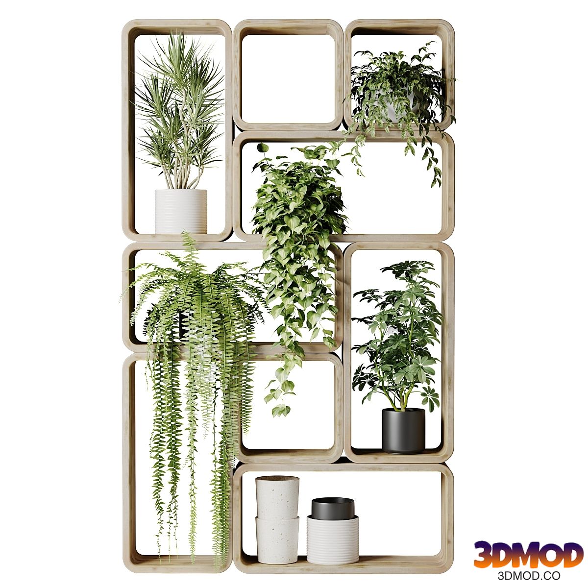 Houseplants in a rack made of rectangles