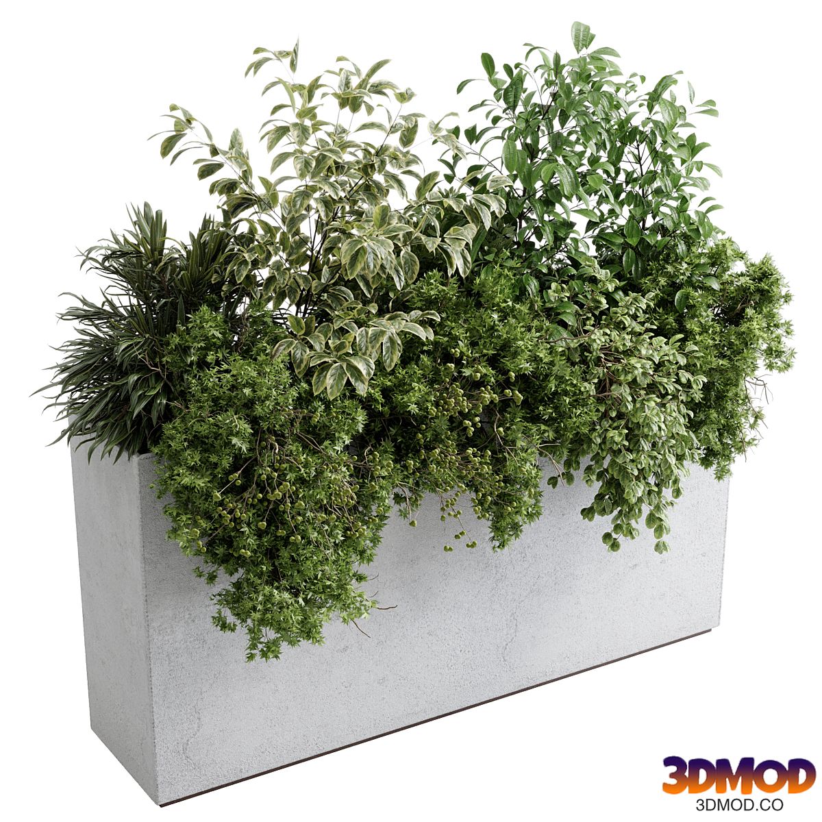 Office plant - concrete box plants on stand - set indoor plant 588
