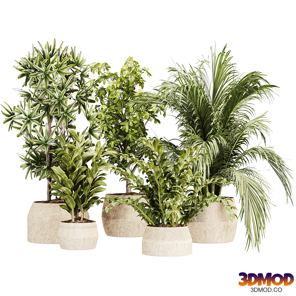 IndoorPlantset25