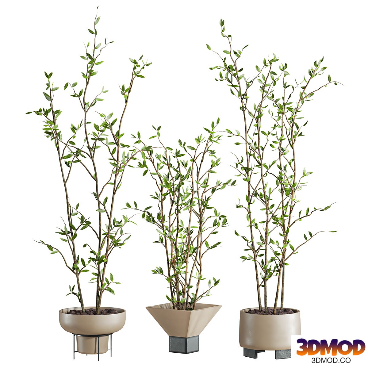 Plants Set 141