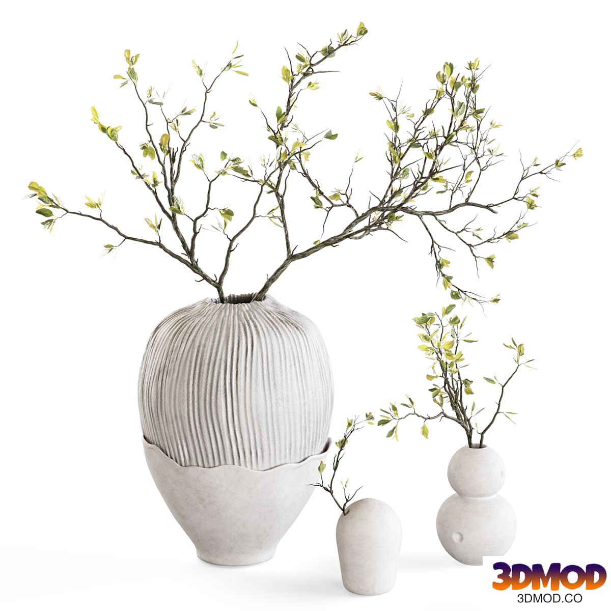 Blossoming branches in clay vases