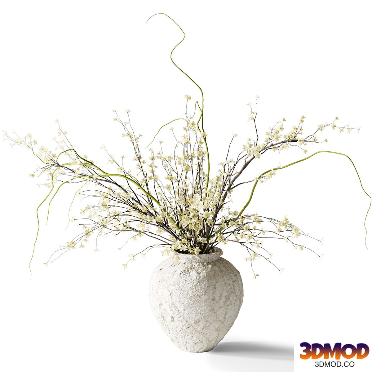 Plants Bouquet 013