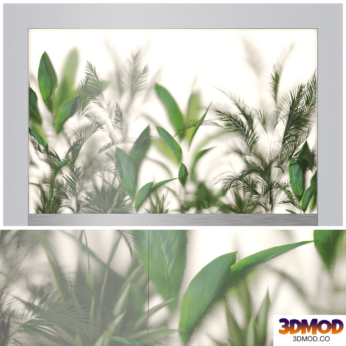 Plant Wall Garden 01