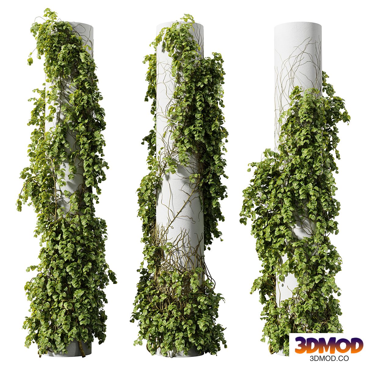 Climbing Ivy Set on Columns